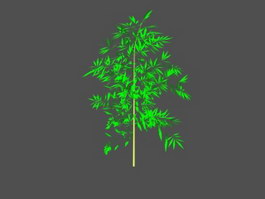 Bamboo Plant 3d preview