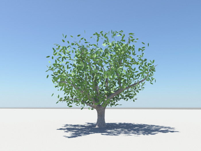Summer Tree 3d rendering