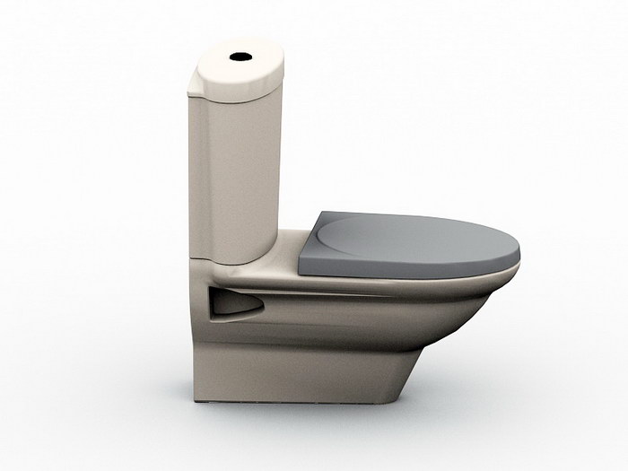 Flush Toilet Bowl 3d rendering