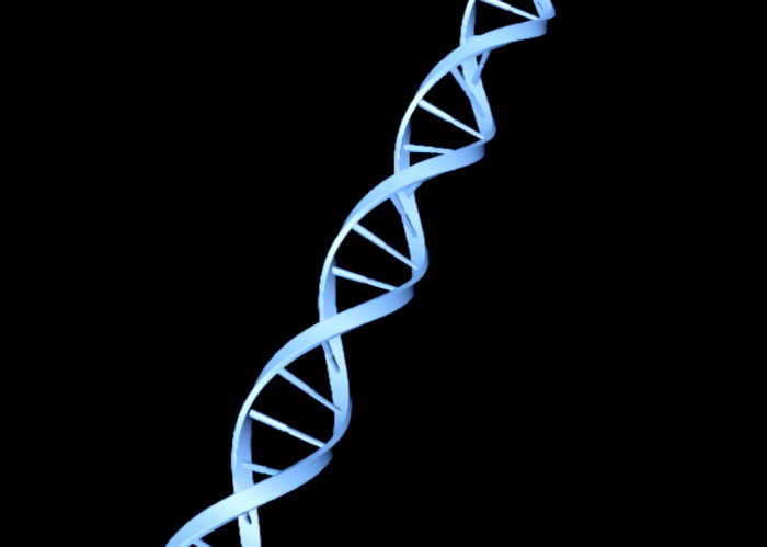 DNA Double Helix 3d rendering