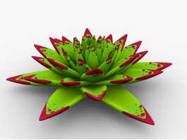 Echeveria agavoides Crassulaceae 3d preview