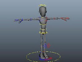 Man Character Rig 3d preview