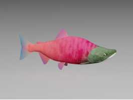 Sockeye Salmon Fish 3d model preview