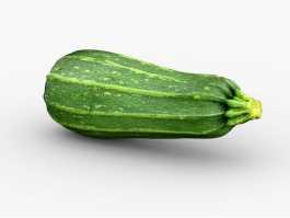 Striped Zucchini 3d preview