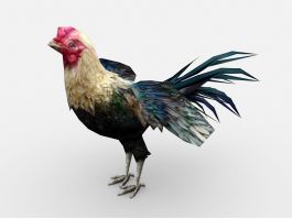 Multicolored Chicken 3d model preview