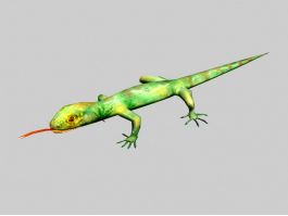 Two Color Lizard 3d model preview