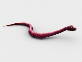 Red Snake 3d model preview