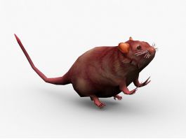 Animated Wild Mouse 3d model preview