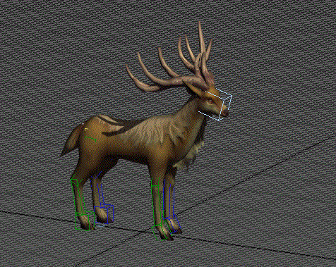 Animated Elk Rig 3d rendering