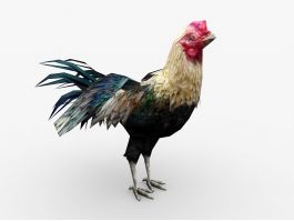Colored Chicken 3d preview