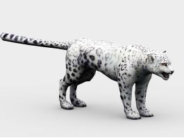 Snow Leopard 3d preview