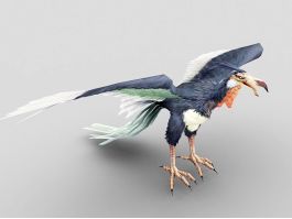 Condor Bird 3d preview