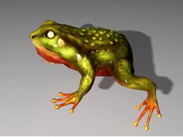 Pond Frog 3d preview