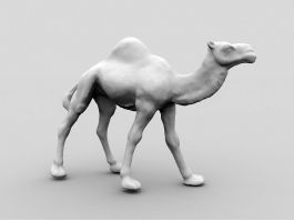 Desert Camel 3d model preview
