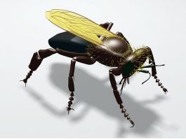 Wasp Bee 3d preview