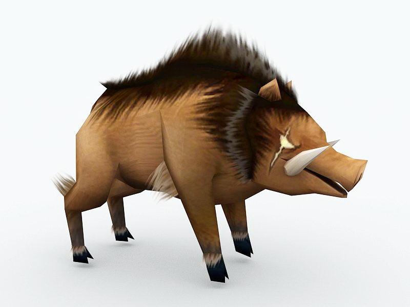 Anime Wild Pig 3d rendering