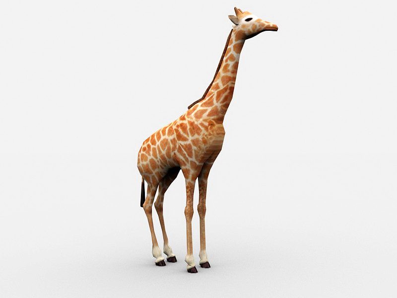 Beautiful Giraffe 3d model - CadNav