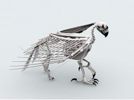 Skeleton 3D Models Free Download - CadNav