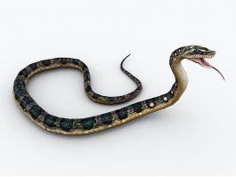 Animated Snake Attack 3d model preview