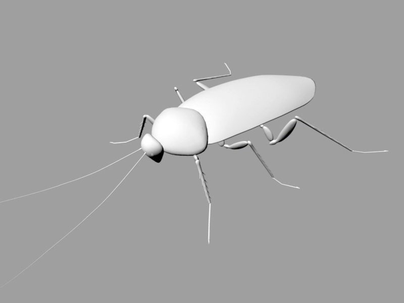 Cockroach Rig 3d rendering
