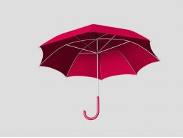 Red Umbrella 3d model preview