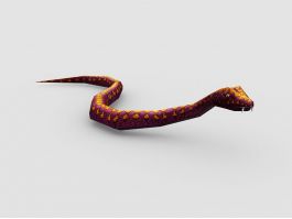 Brown Snake 3d model preview