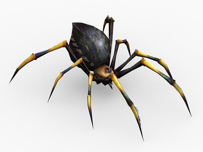 Poisonous Spider 3d model 3ds Max files free download - modeling 51195
