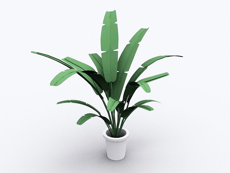 Large Indoor Potted Plant 3d rendering