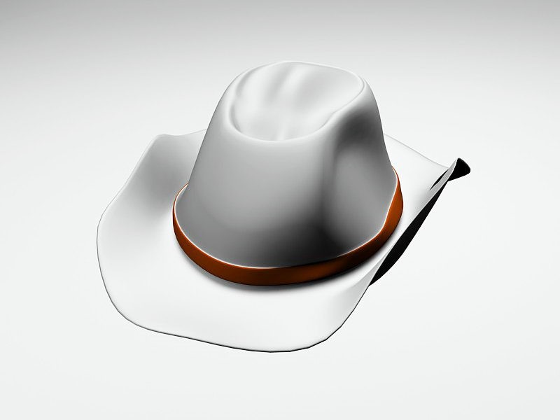 Western Cowboy Hat 3d rendering