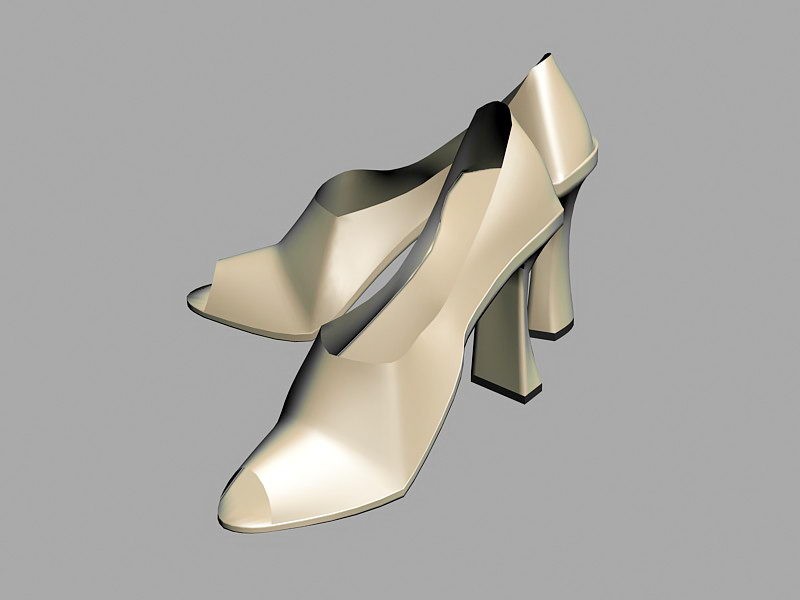 Platform Party Sandals Shoe 3d rendering