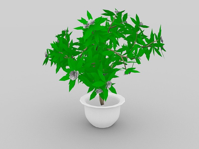 Large Indoor Potted Plant 3d rendering