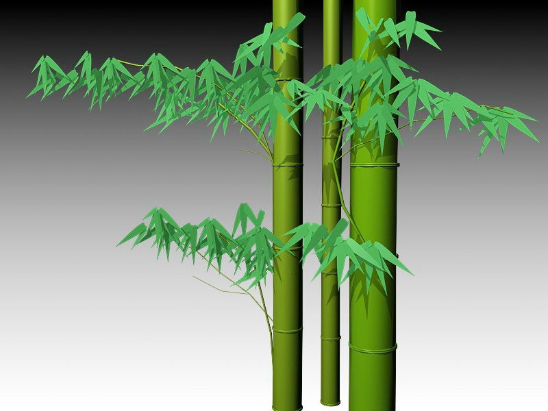 Growing Bamboo 3d rendering