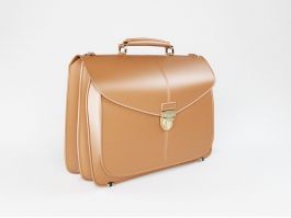 Men's Leather Briefcase 3d model preview