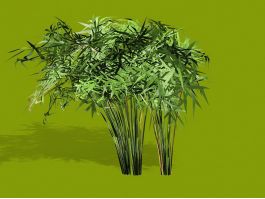 Papyrus Plants 3d model preview