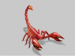 Red Scorpion 3d model preview