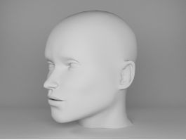 Human Male Head 3d preview