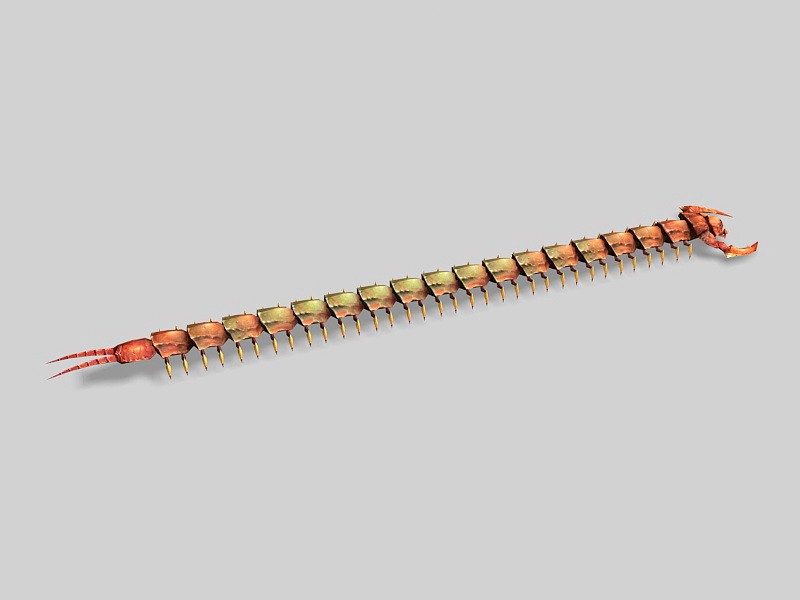 Big Red Centipede 3d rendering