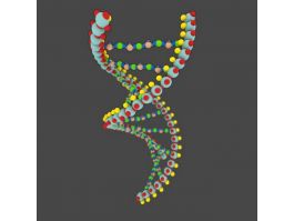 DNA Molecule Structure 3d preview