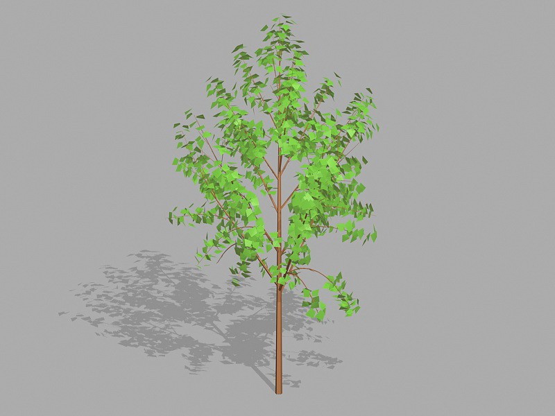Small Tree Plant 3d rendering