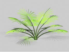 Palm Shrub 3d preview