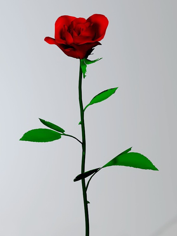 Red Rose Flower 3d rendering