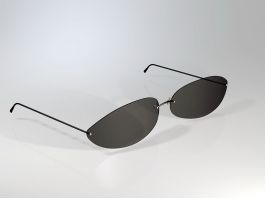 Modern Sunglasses 3d preview