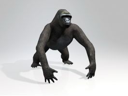 Black Gorilla 3d model preview