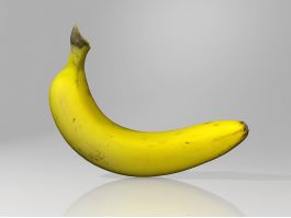 Cavendish Banana 3d model preview