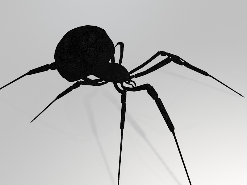 Black Widow Spider 3d rendering