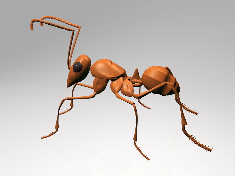Big Red Ant 3d rendering
