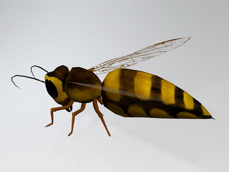 Wasp Bee Insect 3d rendering