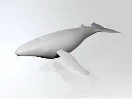 White Whale 3d preview