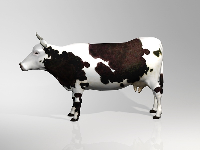 Dairy Farm Cow 3d rendering