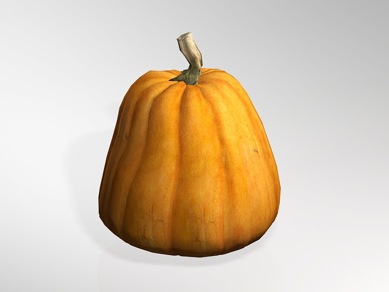Sugar Pumpkin 3d rendering